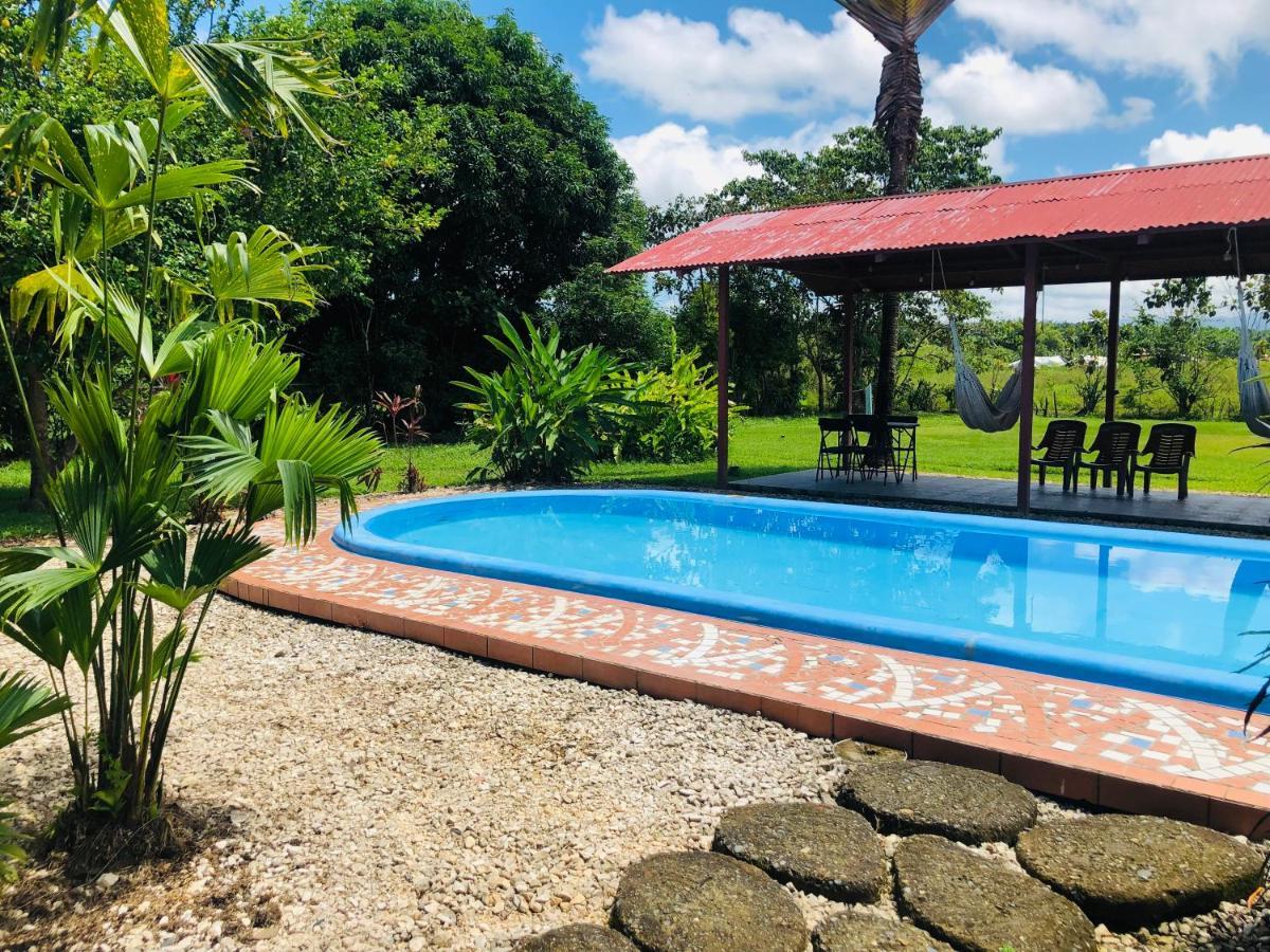 Hotel Cocodrilo Sierpe מראה חיצוני תמונה